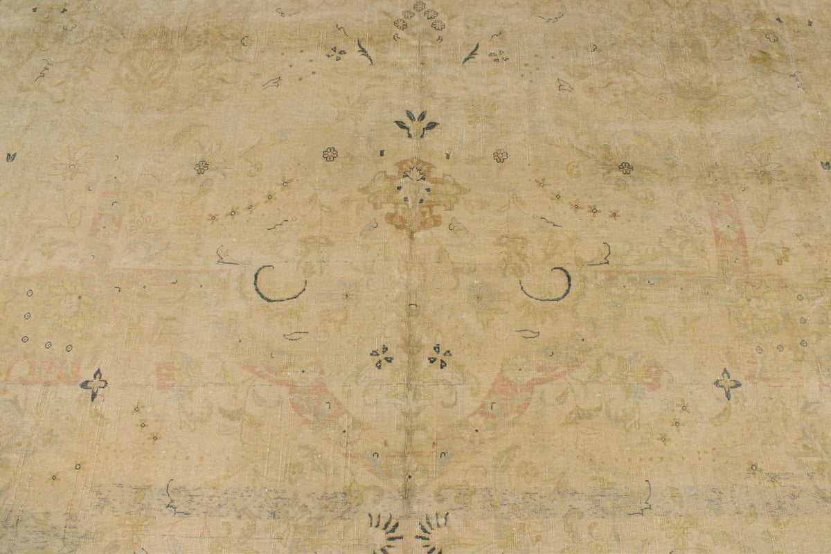 11x18 Beige and Blue Persian Traditional Rug