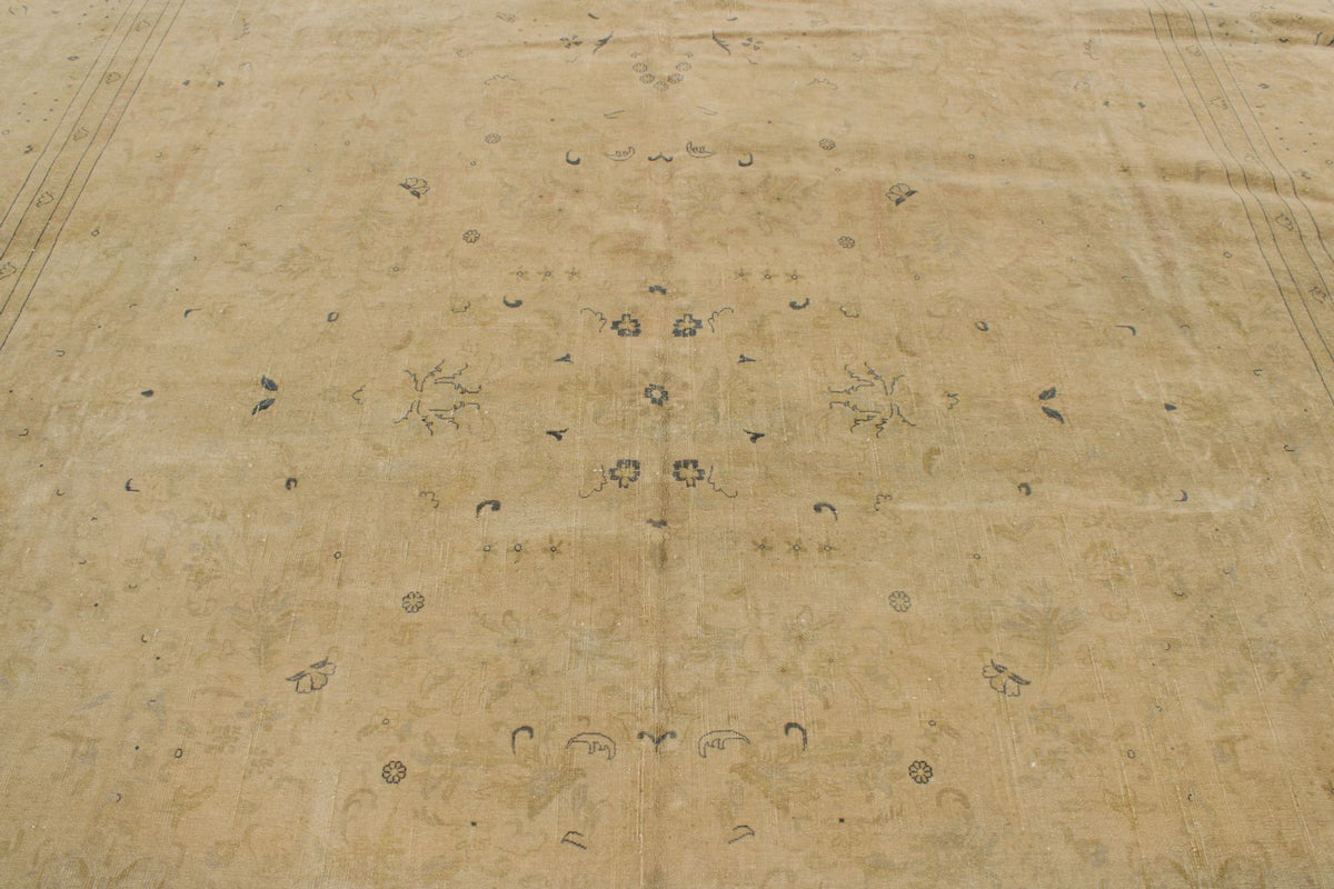 11x18 Beige and Blue Persian Traditional Rug