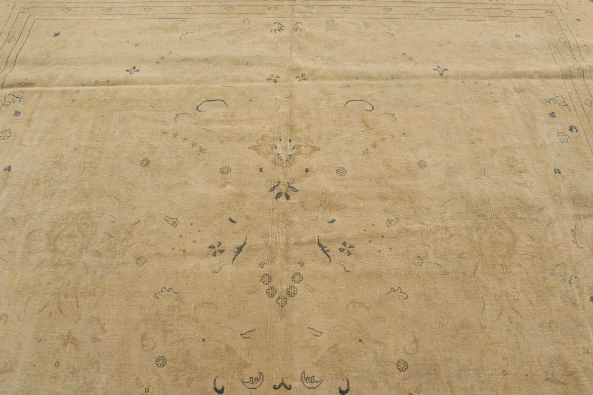 11x18 Beige and Blue Persian Traditional Rug