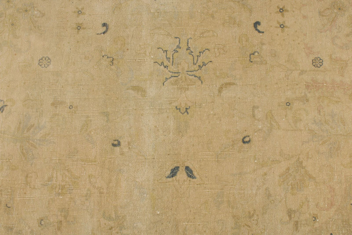 11x18 Beige and Blue Persian Traditional Rug