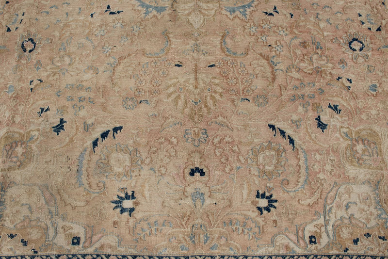 9x12 Beige and Blue Persian Traditional Rug