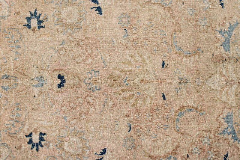 9x12 Beige and Blue Persian Traditional Rug