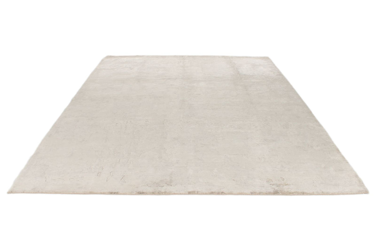 8x10 Beige and Brown Modern Contemporary Rug
