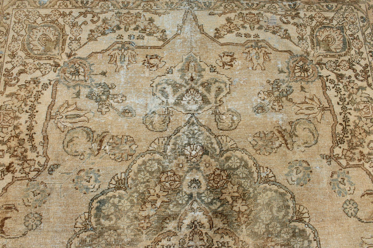 7x9 Beige and Brown Persian Rug