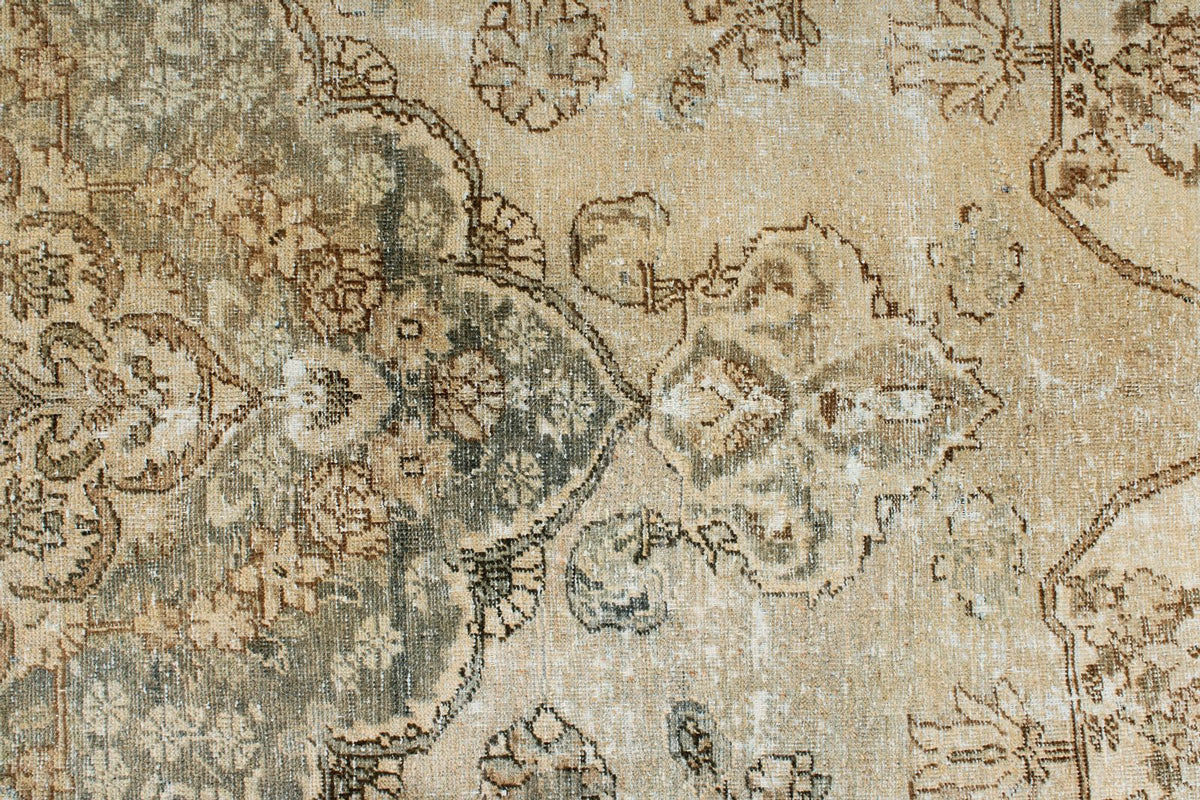 7x9 Beige and Brown Persian Rug