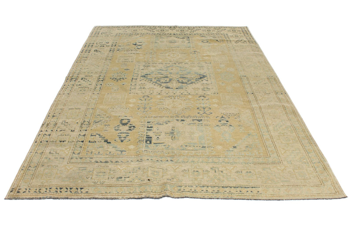 6x9 Brown and Ivory Persian Rug