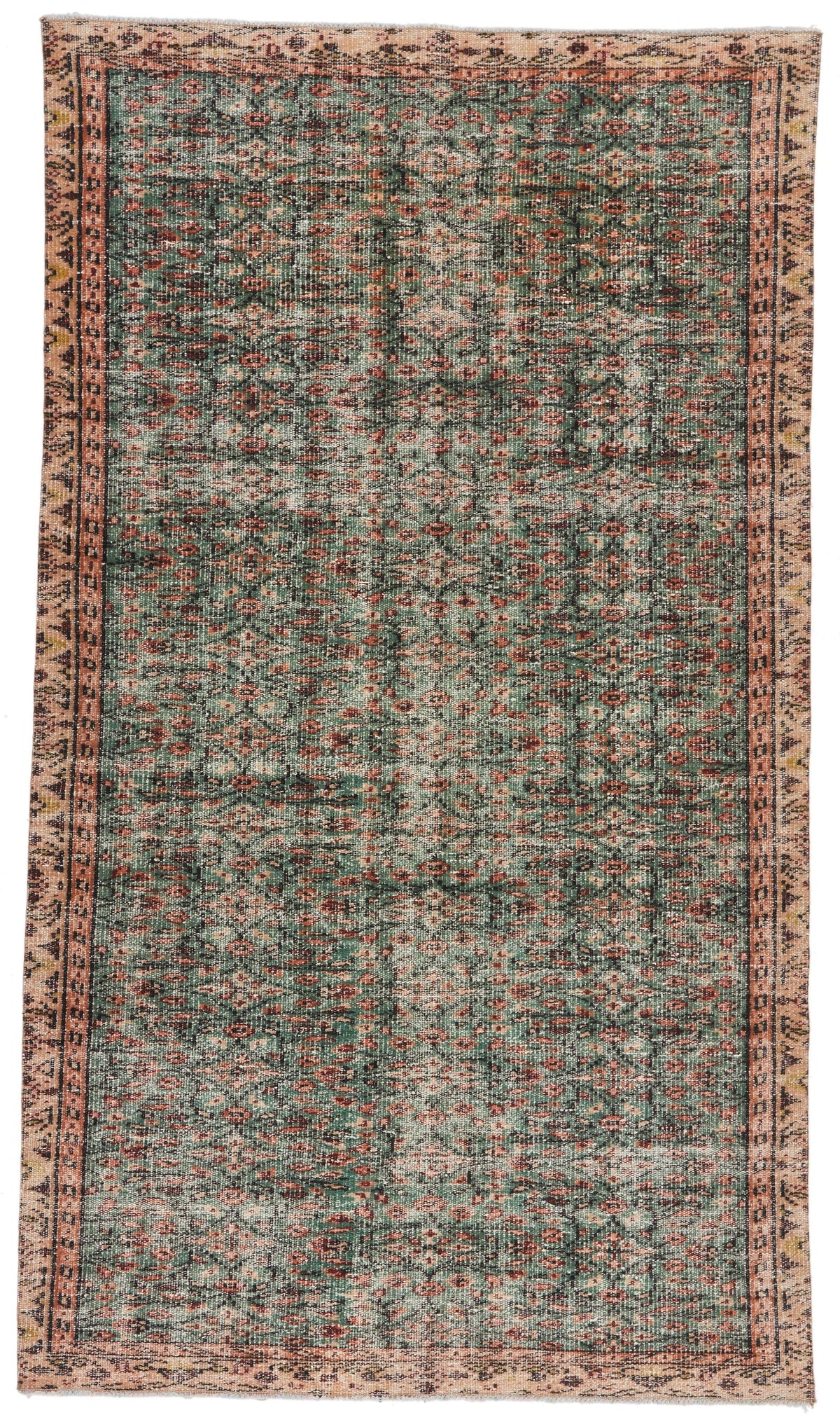 5x9 Green and Multicolor Modern Contemporary Rug