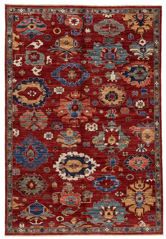 6x9 Red and Multicolor Anatolian Traditional Rug