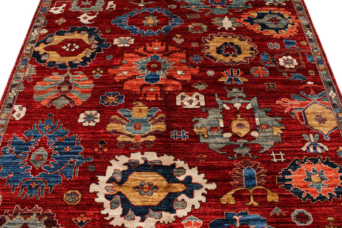6x9 Red and Multicolor Anatolian Traditional Rug