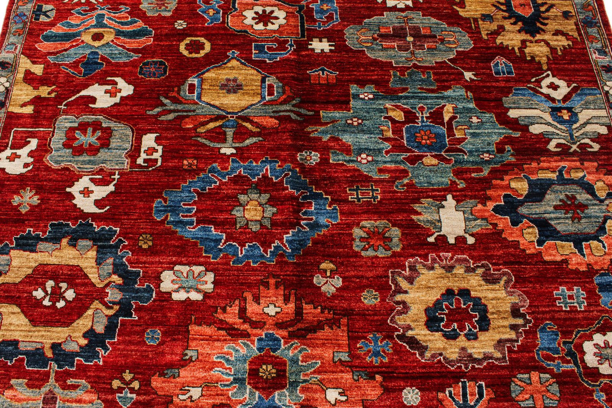 6x9 Red and Multicolor Anatolian Traditional Rug