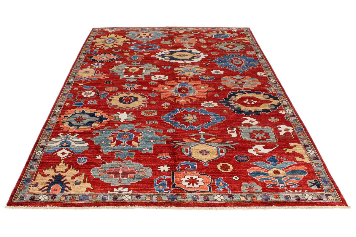 6x9 Red and Multicolor Anatolian Traditional Rug