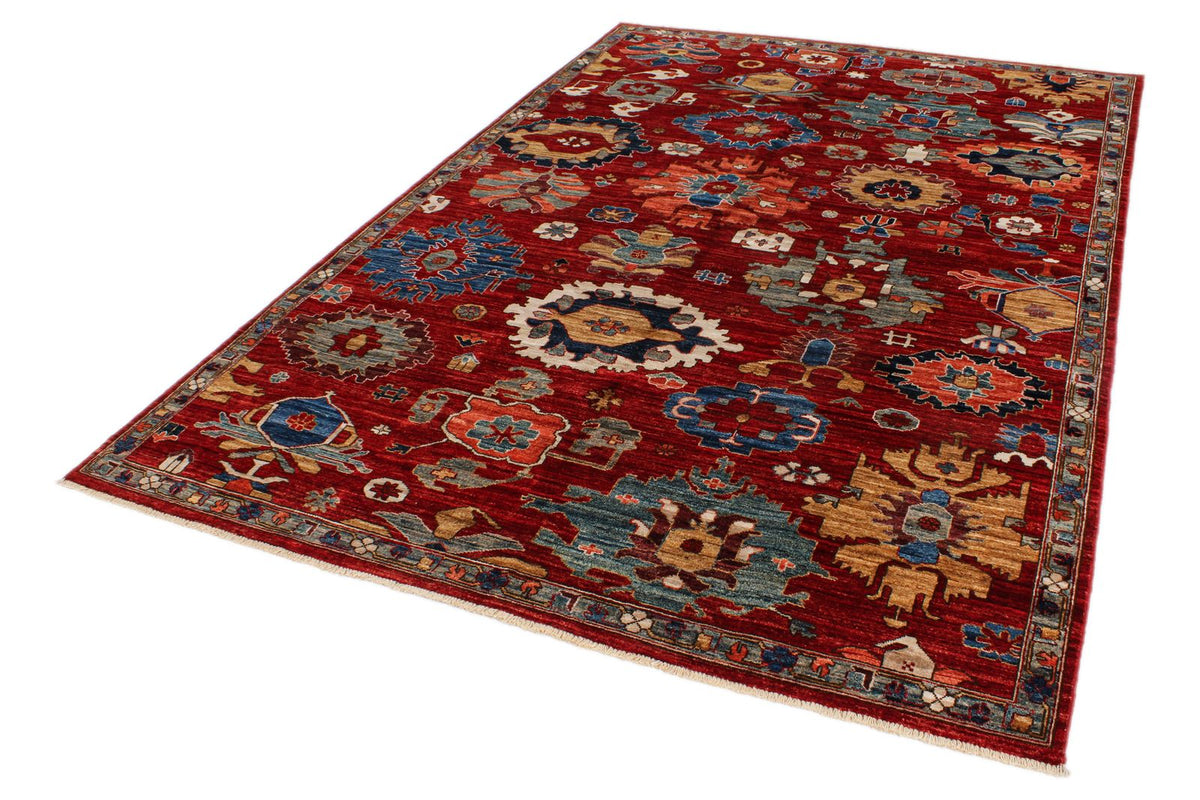 6x9 Red and Multicolor Anatolian Traditional Rug