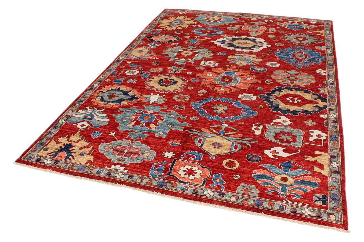 6x9 Red and Multicolor Anatolian Traditional Rug