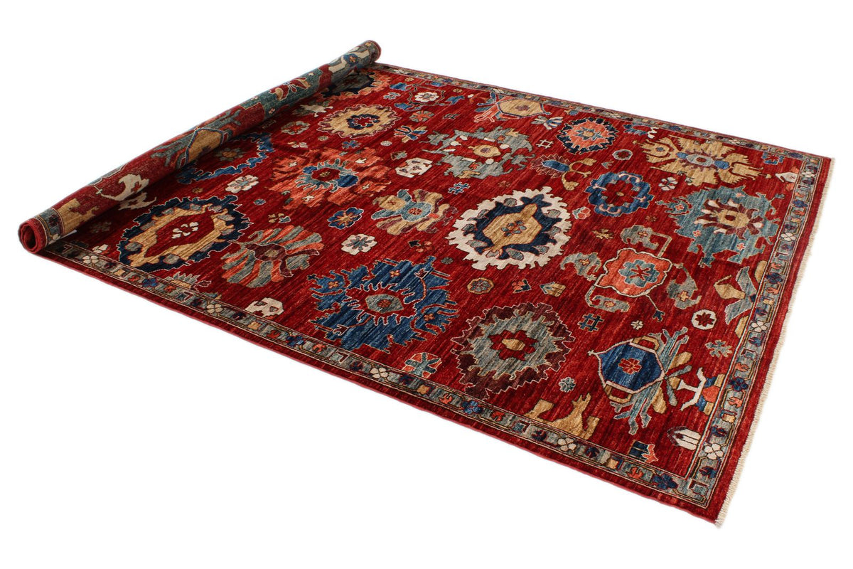 6x9 Red and Multicolor Anatolian Traditional Rug