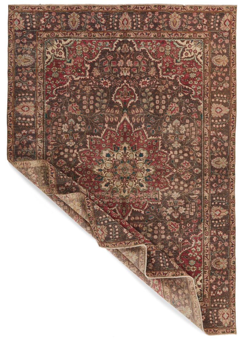 6x9 Red and Brown Anatolian Turkish Tribal Rug