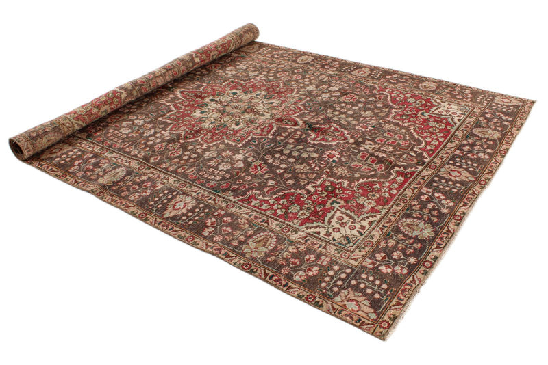 6x9 Red and Brown Anatolian Turkish Tribal Rug