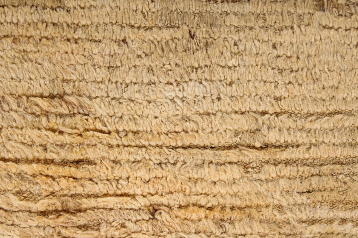 4x6 Beige and Brown Modern Contemporary Rug