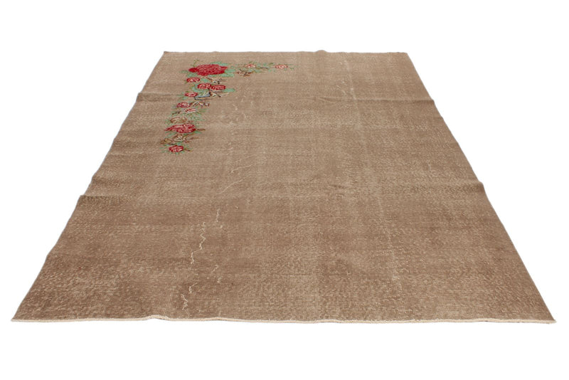 6x10 Light Brown and Red Turkish Anatolian Rug