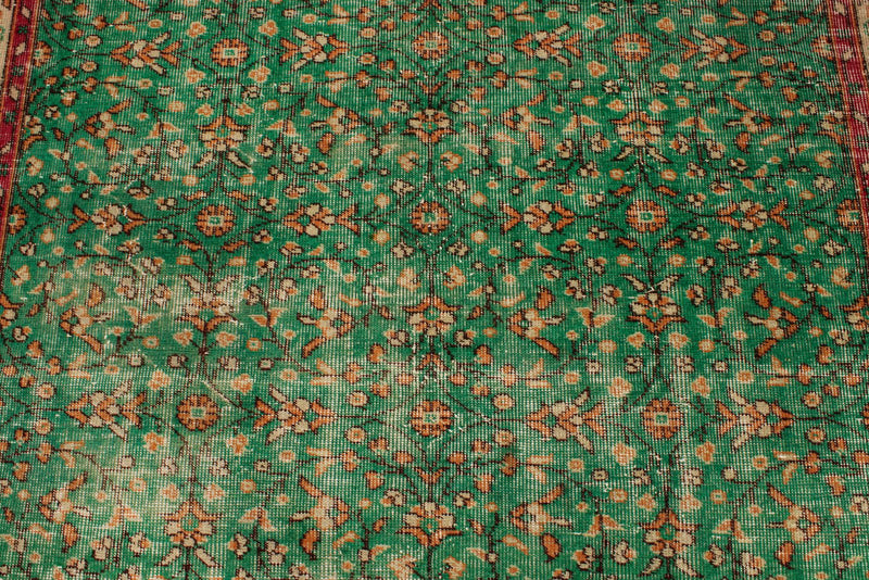 6x9 Green and Red Turkish Anatolian Rug