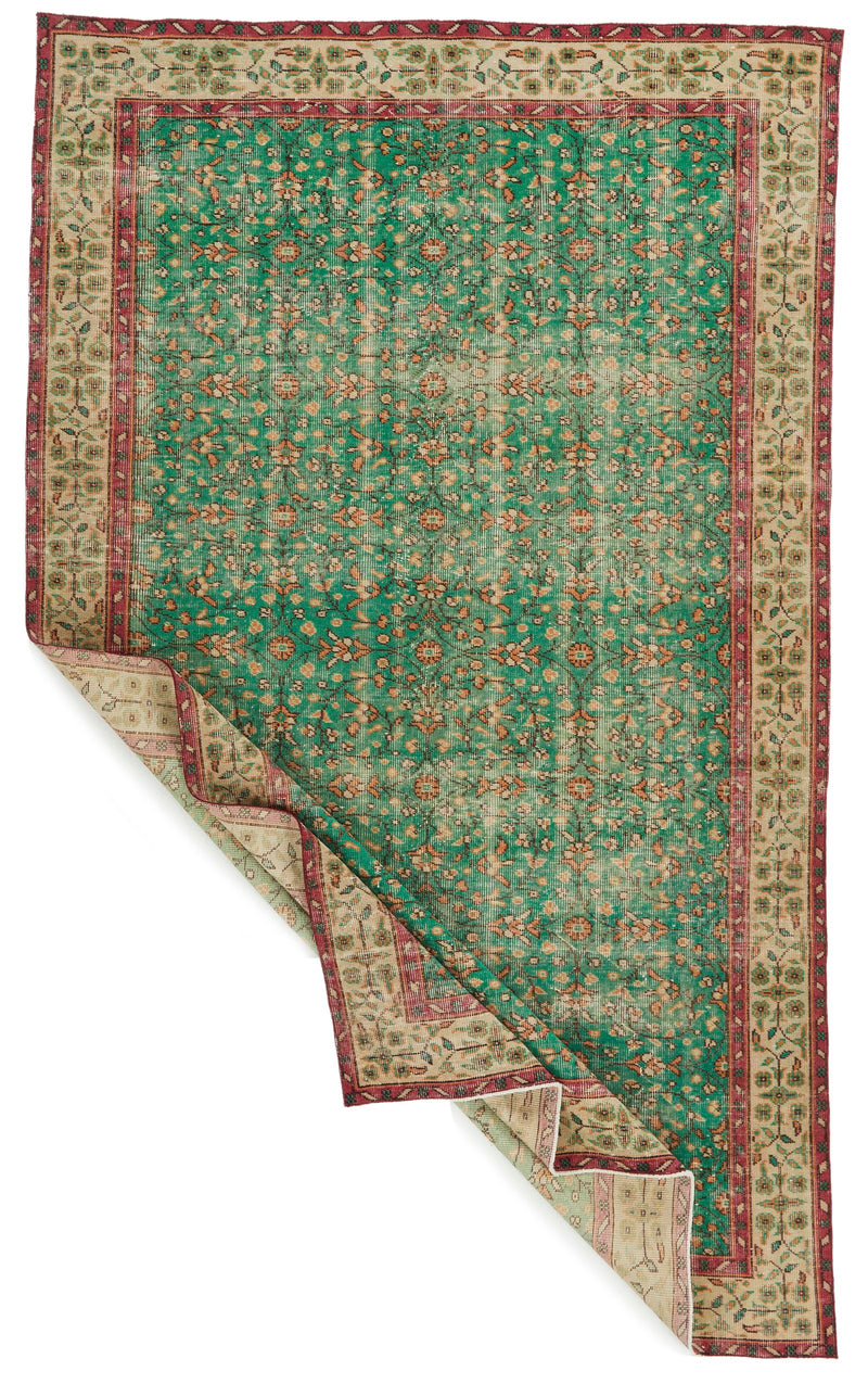 6x9 Green and Red Turkish Anatolian Rug