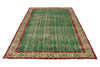 6x9 Green and Red Turkish Anatolian Rug