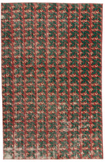 6x9 Red and Green Turkish Anatolian Rug