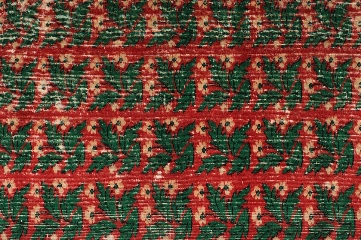 6x9 Red and Green Turkish Anatolian Rug