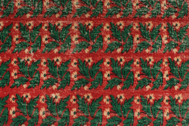 6x9 Red and Green Turkish Anatolian Rug