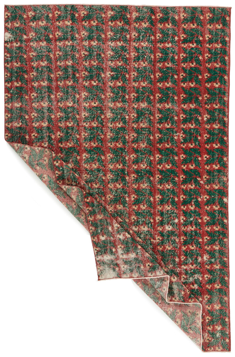 6x9 Red and Green Turkish Anatolian Rug