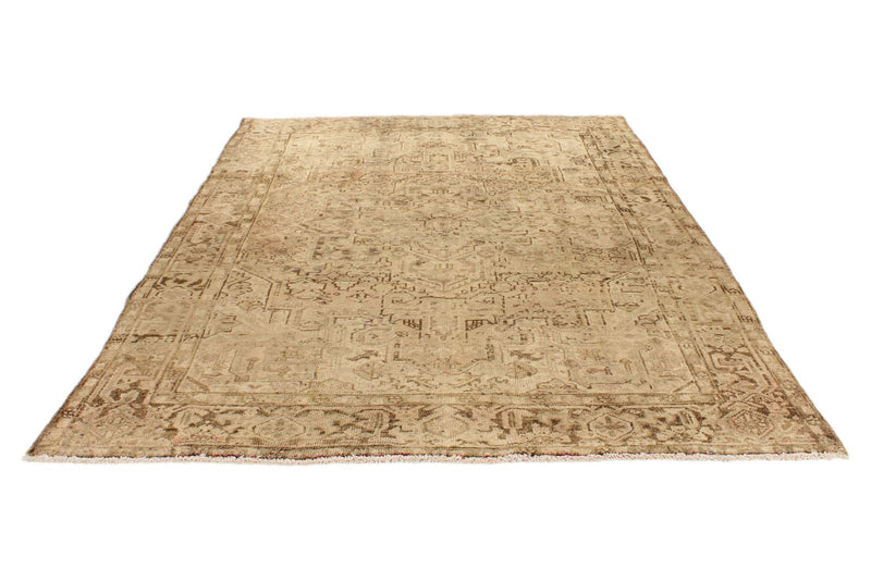 7x9 Beige and Light Brown Persian Rug