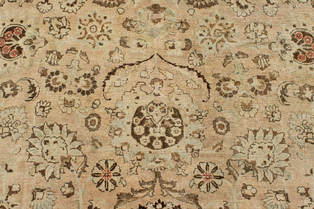 11x15 Light Rust and Multicolor Persian Rug
