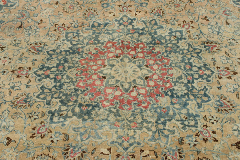 10x12 Pink and Blue Persian Traditional Rug