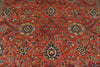 9x12 Red and Navy Anatolian Traditional Rug