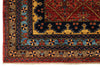 8x10 Red and Light Blue Traditional Rug