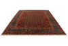 8x10 Red and Light Blue Anatolian Traditional Rug