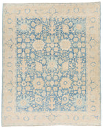 8x10 Light Blue and Ivory Traditional Rug