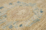 8x10 Light Blue and Ivory Traditional Rug