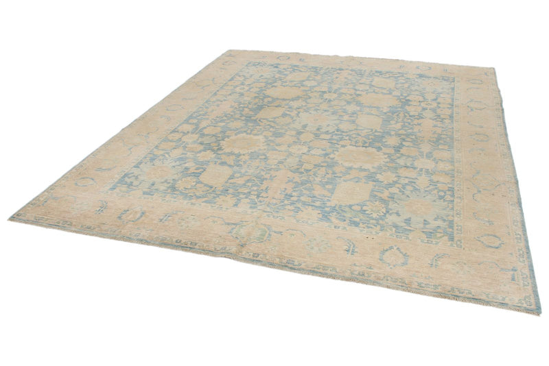 8x10 Light Blue and Ivory Traditional Rug