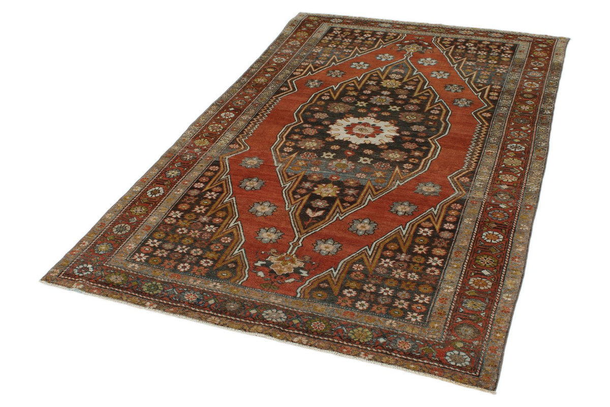 4x7 Red and Brown Persian Traditional Rug