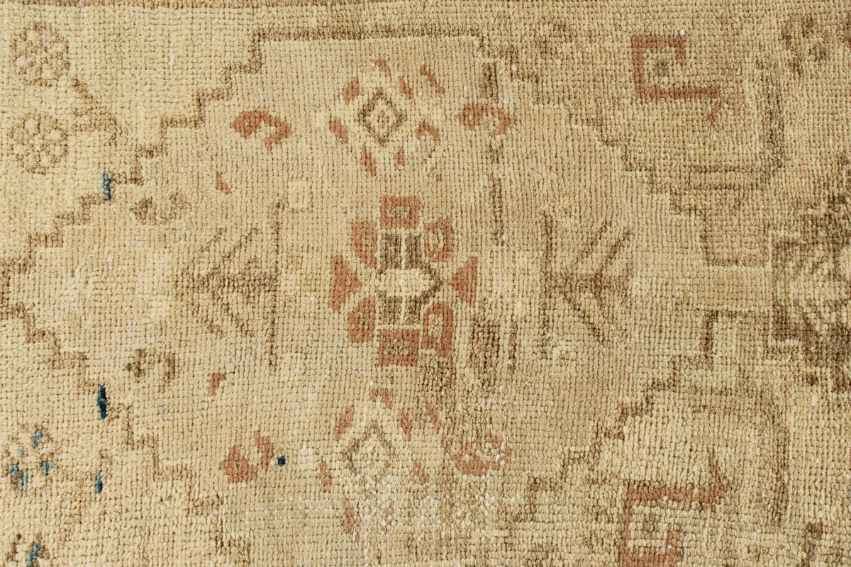 2x9 Ivory and Brown Persian Runner