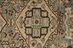 4x10 Ivory and Brown Anatolian Persian Runner