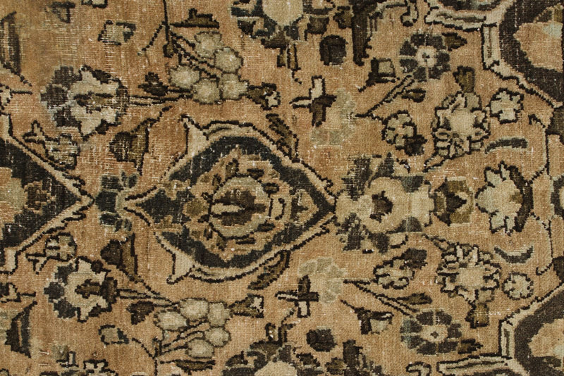 4x7 Beige and Brown Persian Rug