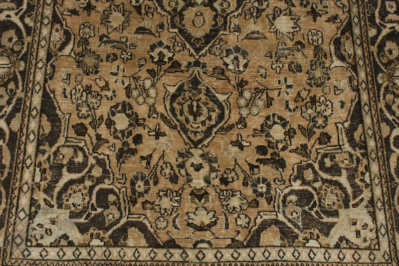 4x7 Beige and Brown Persian Rug