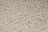 9x13 Ivory and Brown Modern Contemporary Rug