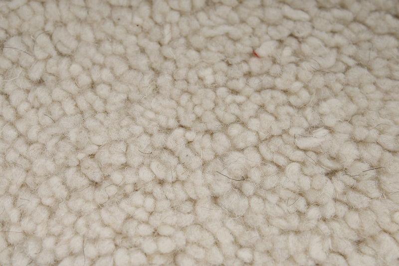 9x13 Ivory and Brown Modern Contemporary Rug