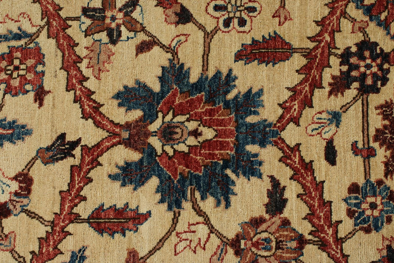 8x10 Ivory and Red Anatolian Traditional Rug