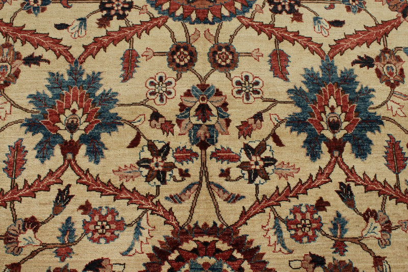 8x10 Ivory and Red Anatolian Traditional Rug