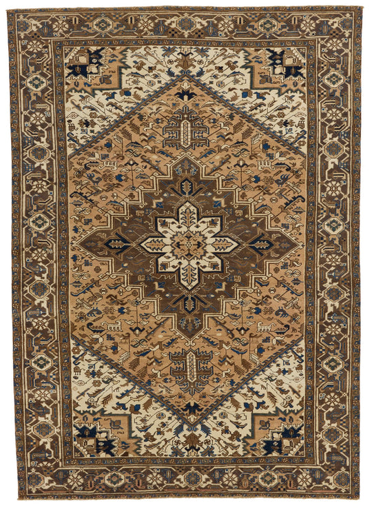 7x9 Ivory and Brown Anatolian Persian Rug