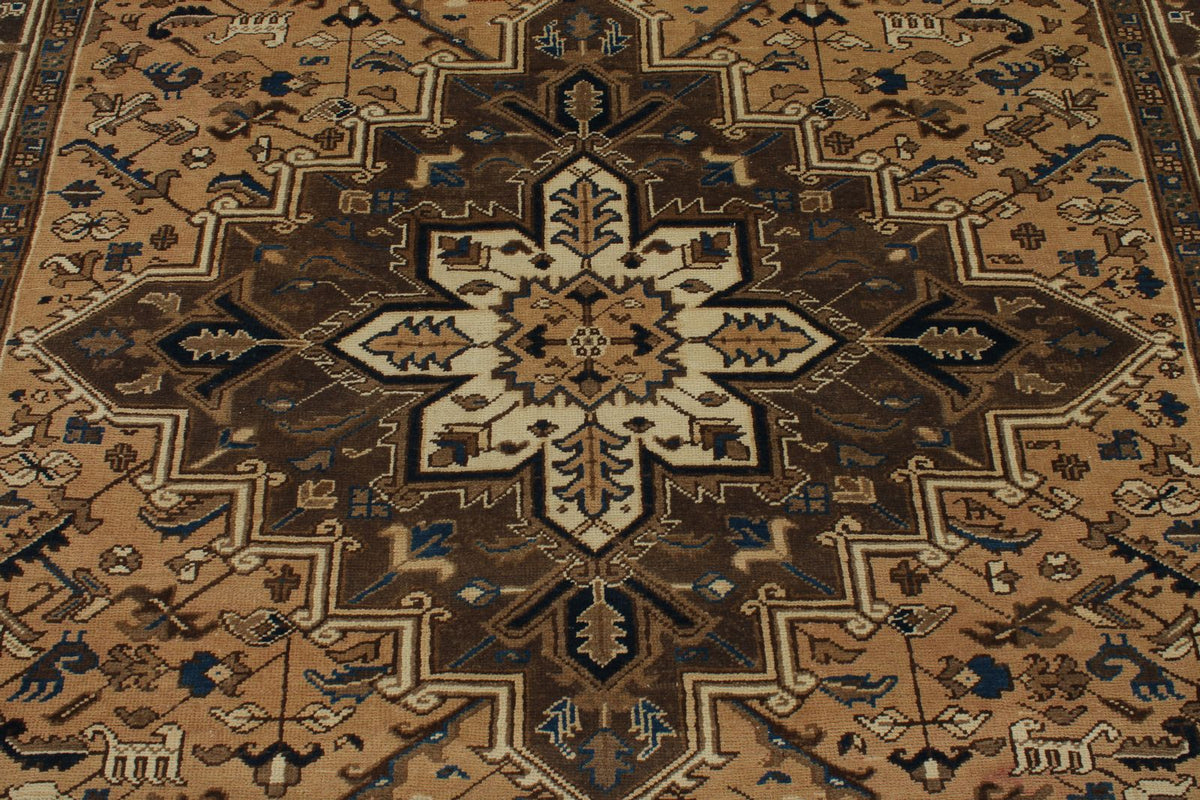 7x9 Ivory and Brown Anatolian Persian Rug