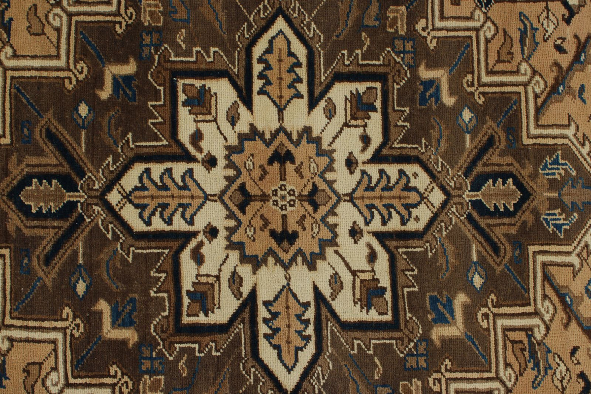 7x9 Ivory and Brown Anatolian Persian Rug